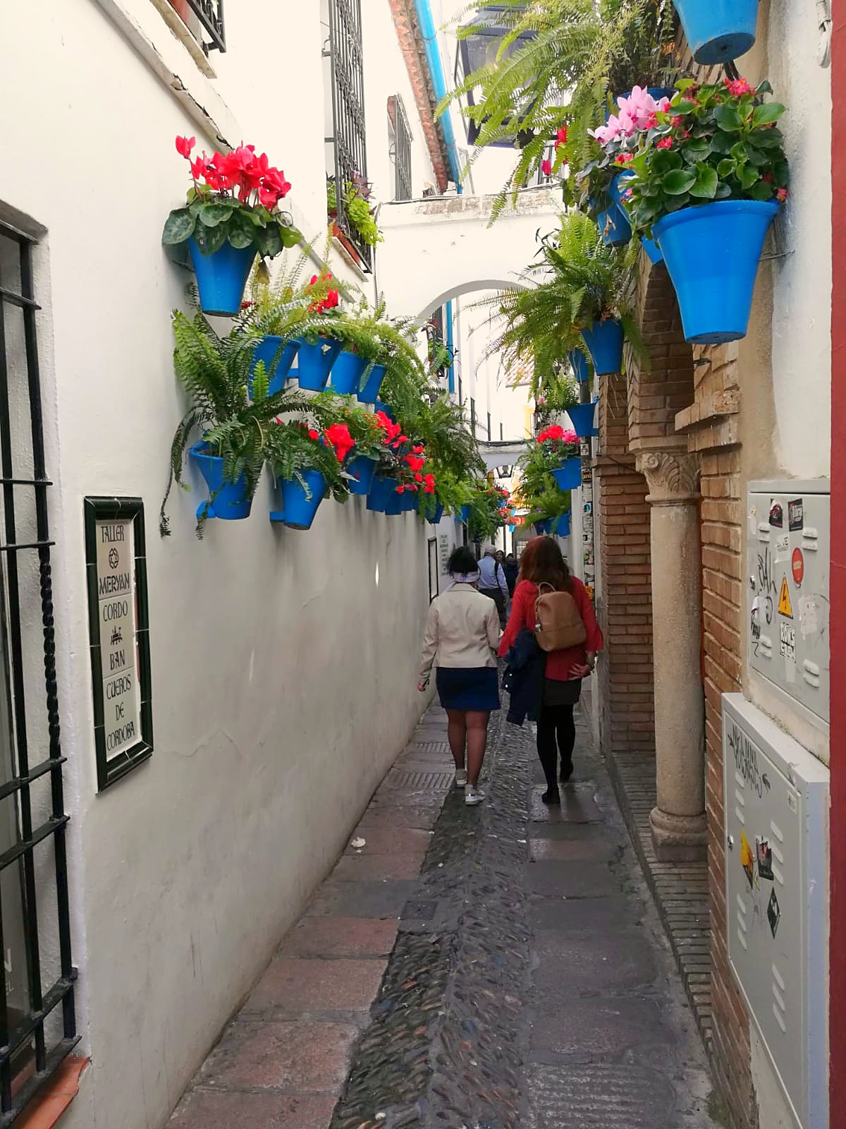 Calleja de las Flores de Córdoba, con macetas de flores en los muros blancos.