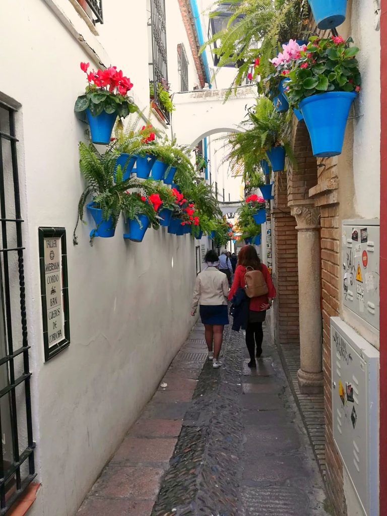 The Calleja de las Flores in Córdoba, with flower pots on whitewashed walls.