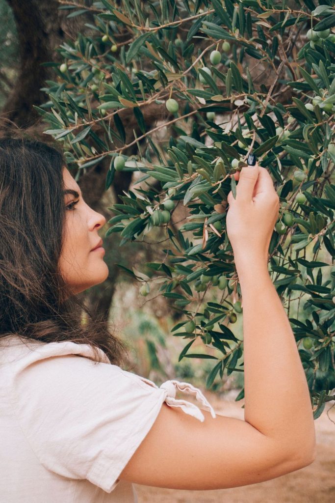 A woman touches the olives on an olive tree during an olive oil experience.